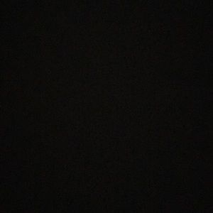 Meet your Posher, Curtisha